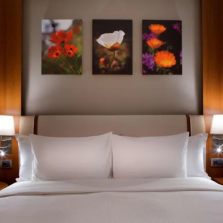Hilton Garden Beylikduzu מלון איסטמבול
