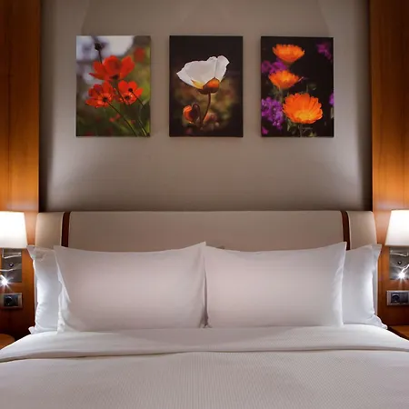 Hilton Garden Beylikduzu Hotel Istanbul